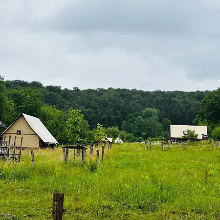 Ecodomaine Chemins De Traverse