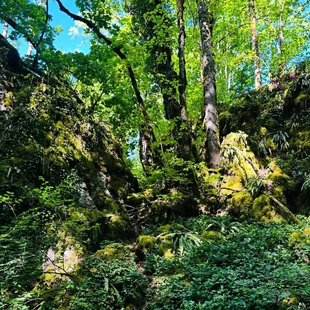 Ecodomaine Chemins De Traverse キャンプ場 オーブリーヴ
