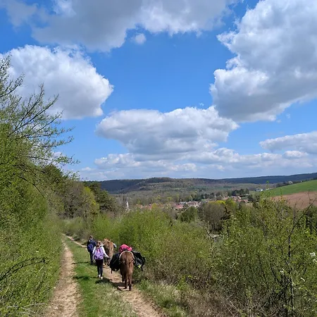 Ecodomaine Chemins De Traverse